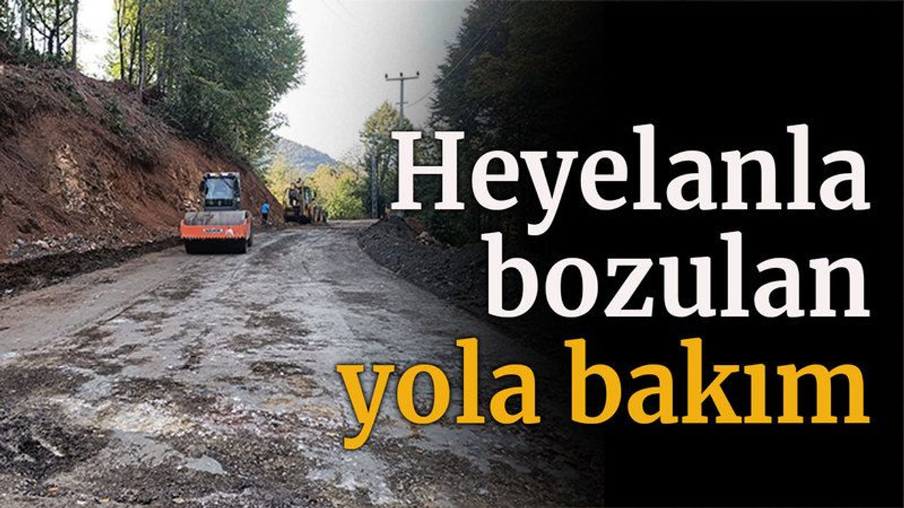 Heyelanla bozulan yola bakım